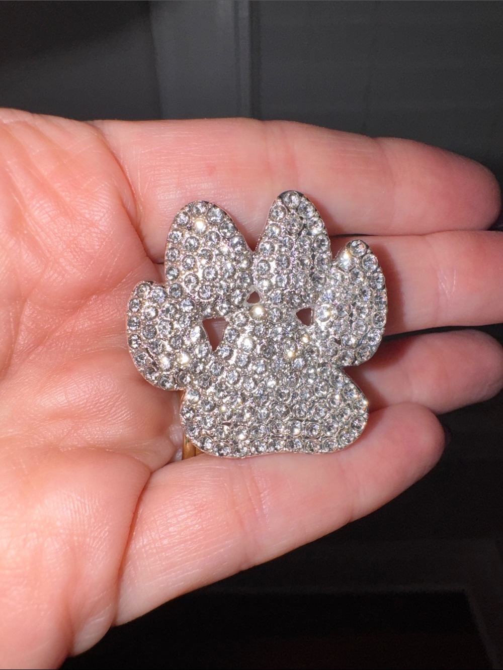 Dog Paw Brooch Sparkly Crystals